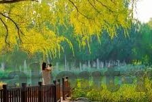 免费推荐足球比分推荐-解锁免费足球比分推荐，理性与机遇并存的新体验